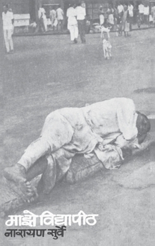 Paperback Maze Vidyapeeth [Marathi] Book