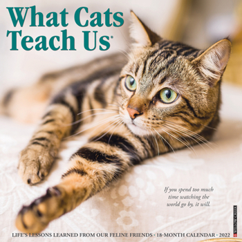 Calendar What Cats Teach Us 2022 Wall Calendar Book