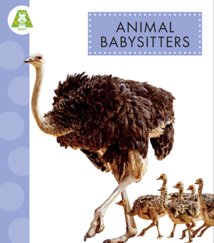 Hardcover Animal Babysitters Book