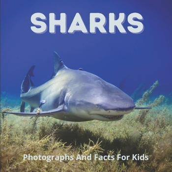 Paperback Sharks Photographs And Facts For Kids: Interesting Facts About Great White, Hammerhead, Basking, And Other Sharks Book