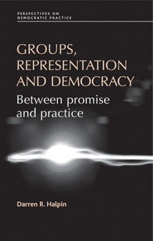 Hardcover Groups, representation and democracy: Between promise and practice Book