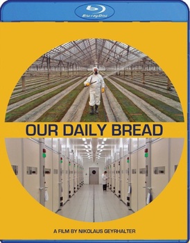 Our Daily Bread