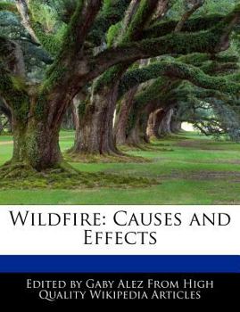 Wildfire : Causes and Effects