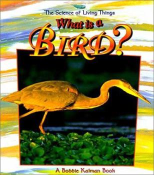 Library Binding What Is a Bird? Book
