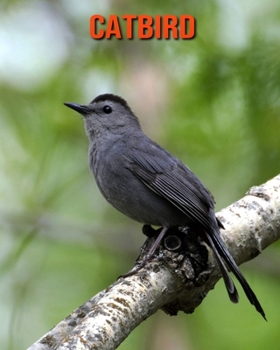 Paperback Catbird: Beautiful Pictures & Interesting Facts Children Book About Catbird Book