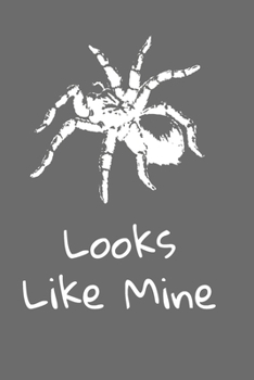 Looks like mine grey tarantula notebook: 6 x 9; 100 page composition notebook