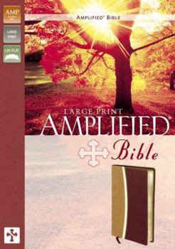 Imitation Leather Large Print Bible-Am [Large Print] Book