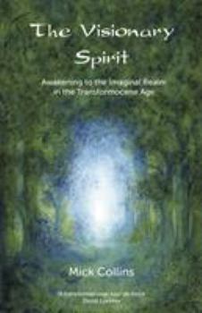 Paperback The Visionary Spirit: Awakening to the Imaginal Realm in the Transformocene Age Book