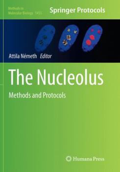 Paperback The Nucleolus: Methods and Protocols Book