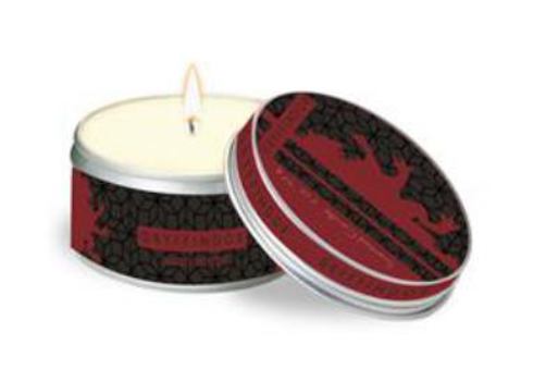 Misc. Supplies Harry Potter Gryffindor Scented Tin Candle: Large, Cinnamon Book