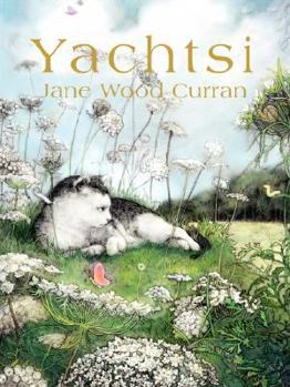 Paperback Yachtsi Book