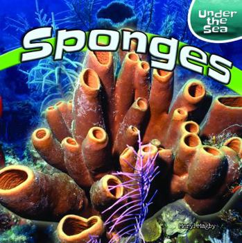 Paperback Sponges Book