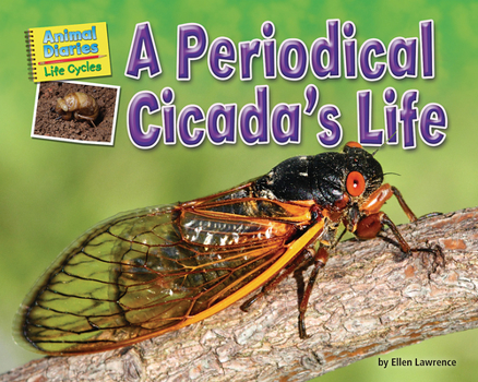 Paperback A Periodical Cicada's Life Book