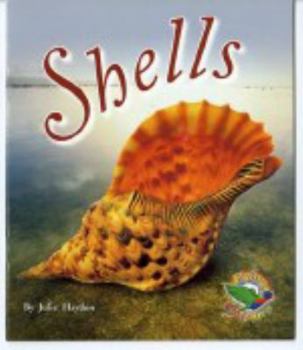 Paperback Shells Book