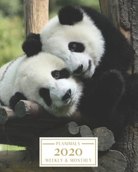 Paperback 2020: Weekly and Monthly Planner/Calendar Jan 2020 - Dec 2020 Cute Hugging Panda Bears Book