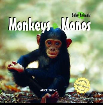 Library Binding Monkeys / Monos Book