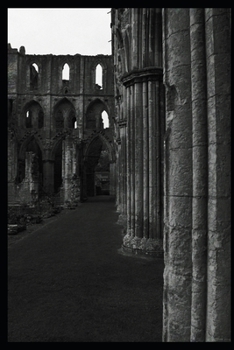 Paperback My Gothic Coloring Book