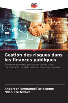Gestion des risques dans les finances publiques
