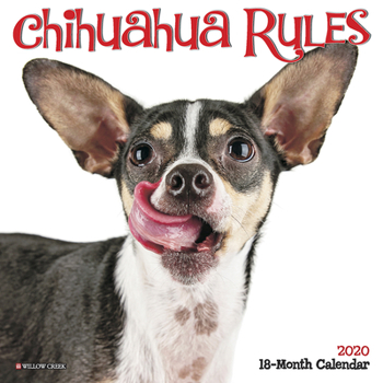 Calendar Chihuahua Rules 2020 Mini Wall Calendar (Dog Breed Calendar) Book