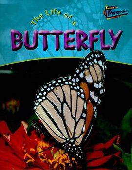 Paperback Life of a Butterfly (Life Cycles) Book