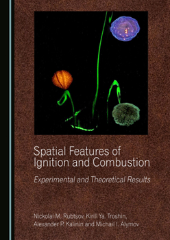 Hardcover Spatial Features of Ignition and Combustion: Experimental and Theoretical Results Book