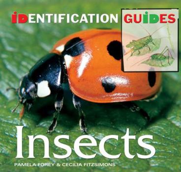Paperback Insects: Identification Guide (Identification Guides) Book