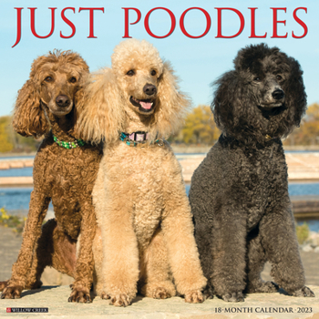 Calendar Just Poodles 2023 Wall Calendar Book