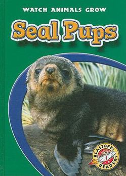 Seal Pups (Blastoff! Readers: Watch Animals Grow) - Book  of the Watch Animals Grow