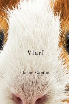 Paperback Vlarf Book