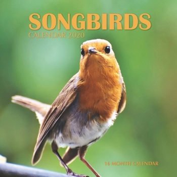 Paperback Songbirds Calendar 2020: 16 Month Calendar Book