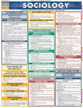 Sociology (Quickstudy: Academic)