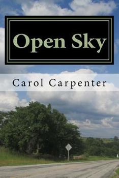 Paperback Open Sky Book