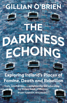 Paperback The Darkness Echoing Book