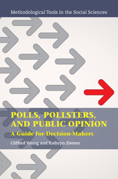 Hardcover Polls, Pollsters, and Public Opinion: A Guide for Decision-Makers Book