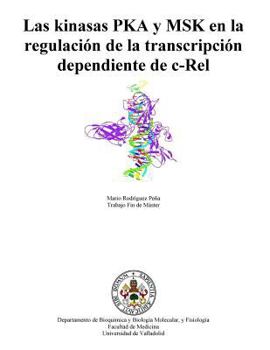 Paperback Las kinasas PKA y MSK en la regulación de la transcripción dependiente de c-Rel [Spanish] Book