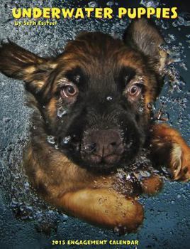 Underwater Puppies Calendar