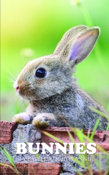 Bunnies 5 x 8 Weekly 2020 Planner: One Year Calendar