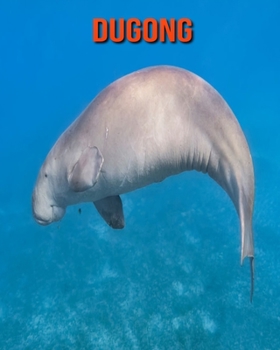 Paperback Dugong: Amazing Facts & Pictures Book