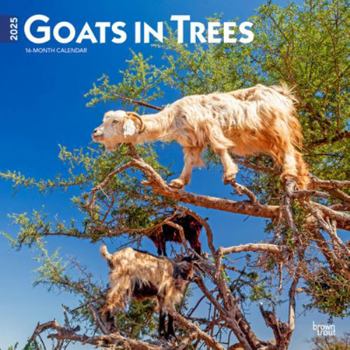 Calendar Goats in Trees 2025 12 X 24 Inch Monthly Square Wall Calendar Plastic-Free Book