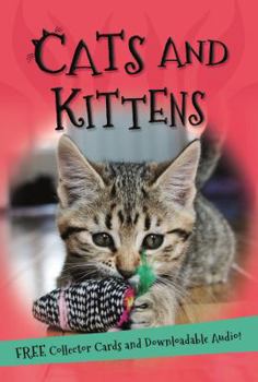 Paperback It's All About... Cats and Kittens Book