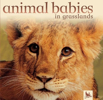 Hardcover Animal Babies in Grasslands Book