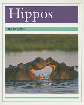 Paperback Hippos: Individual Student Edition Turquoise (Levels 17-18) Book