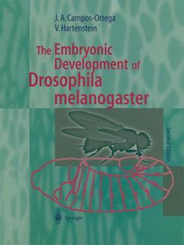 Paperback The Embryonic Development of Drosophila Melanogaster Book