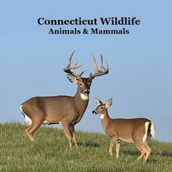 Connecticut Animals and Mammals Kids Wildlife Book: Great Wildlife Book about Animals and Mammals in Connecticut