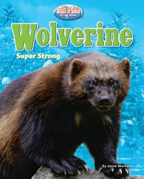 Wolverine: Super Strong - Book  of the Built for Cold: Arctic Animals
