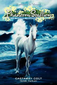 Castaway Colt (Phantom Stallion: Wild Horse Island, #4) - Book #4 of the Phantom Stallion: Wild Horse Island