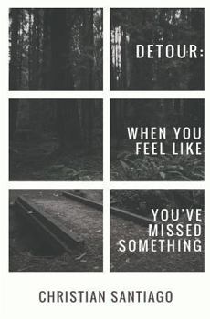Paperback Detour: When You Feel Like You've Missed Something Book