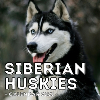 Paperback Siberian Huskies Calendar 2021: 16-Month Calendar, Cute Gift Idea For Siberian Husky Lovers, Women & Men Book
