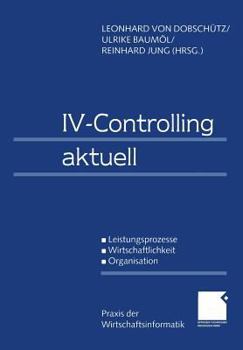 Paperback IV-Controlling Aktuell: Leistungsprozesse Wirtschaftlichkeit Organisation [German] Book