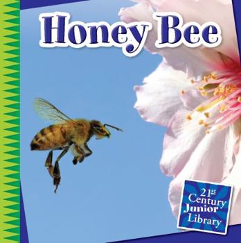 Honey Bee - Book  of the Creepy Crawly Critters
